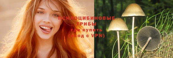 Альфа ПВП Баксан