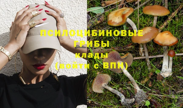 МДПВ Балахна