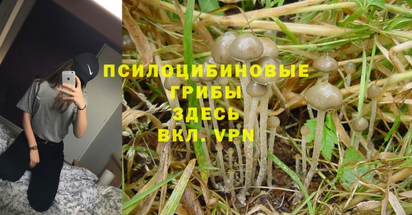 МДПВ Балахна