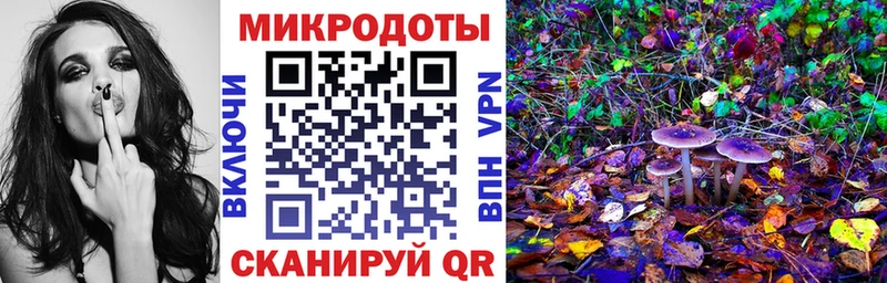 купить наркоту  Калуга  Псилоцибиновые грибы мицелий 