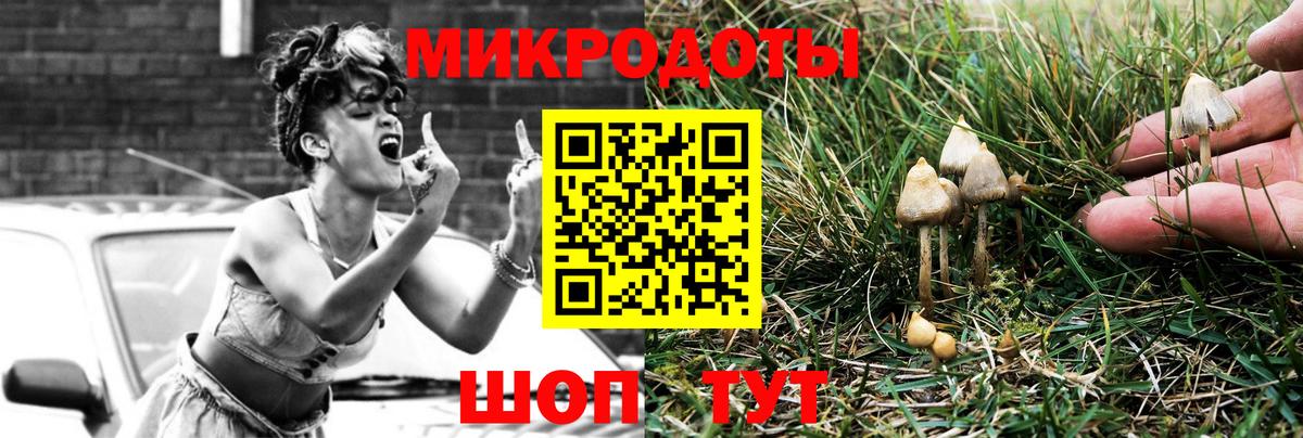 Калуга  Псилоцибиновые грибы MAGIC MUSHROOMS  где можно купить   Вход с VPN 